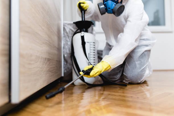 Trusted Westfield, IN Pest Control Experts
