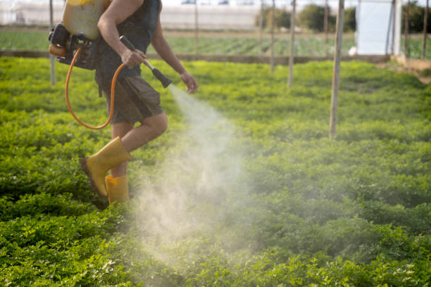 Best Wasp Removal Services  in Westfield, IN