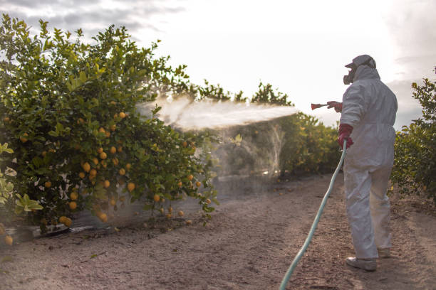 Best Cockroach Control Services  in Westfield, IN