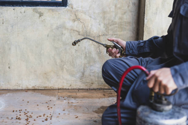 Pest Prevention Services in Westfield, IN